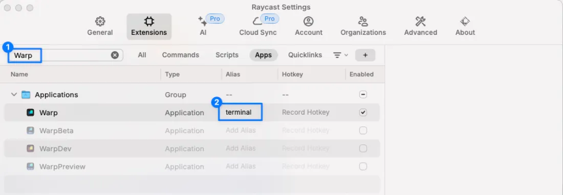 Raycast Terminal Tip